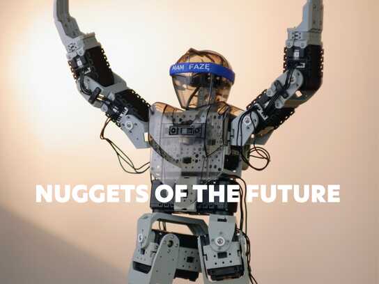 Nuggets of the Future