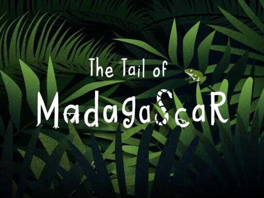 The Tail of Madagascar