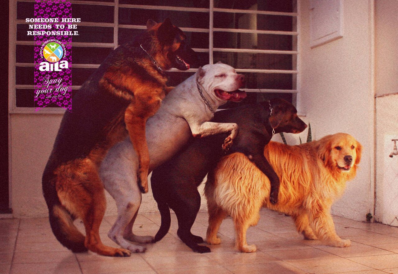 Aila Dog XXX • Ads of the World™ Part of The Clio Network 