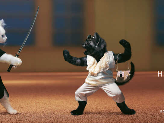 Samurai catfight