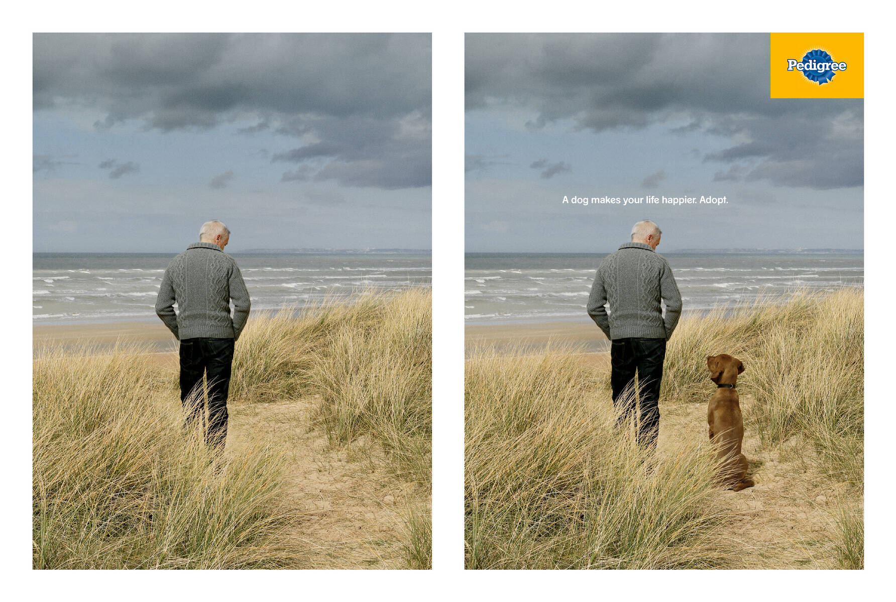 Pedigree store dog ad