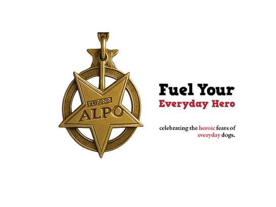 Fuel Your Everyday Hero