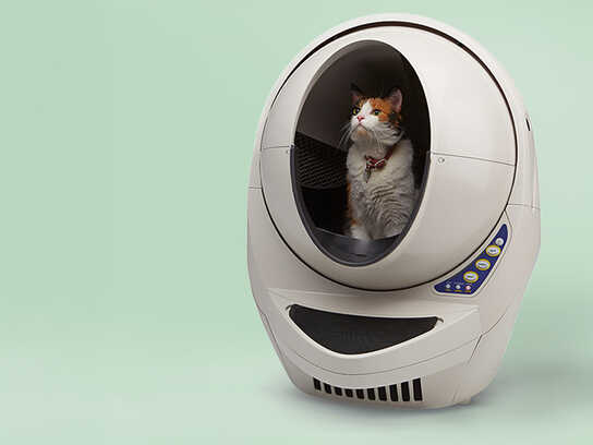 Self-cleaning Litter Box