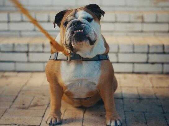 Do What Makes You Feel Good