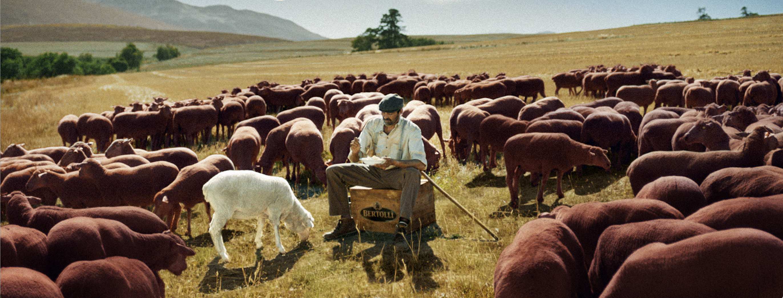 Take The Alfredo Image