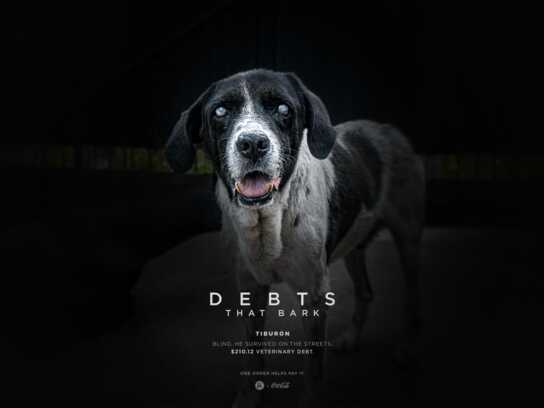 DEBTS THAT BARK