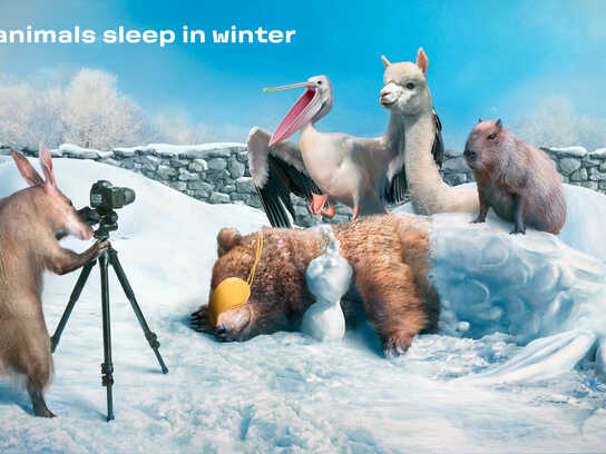 Not All Animals Sleep in Winter