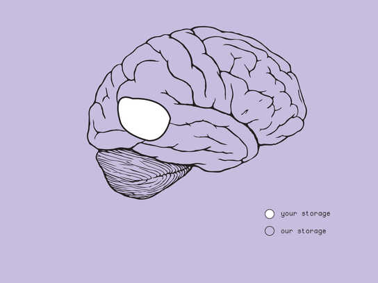 Brain, Bookcase, Mac