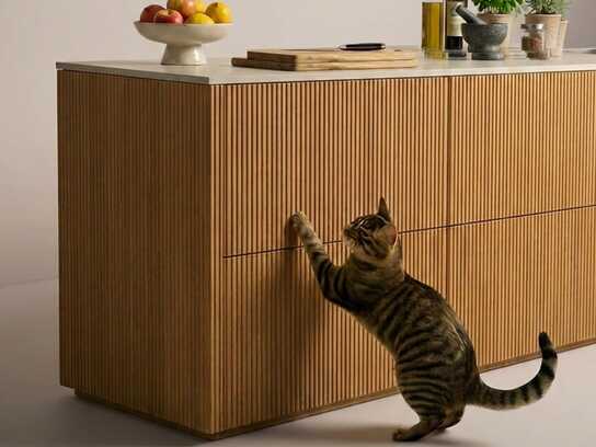 Sorry, Meawwo!