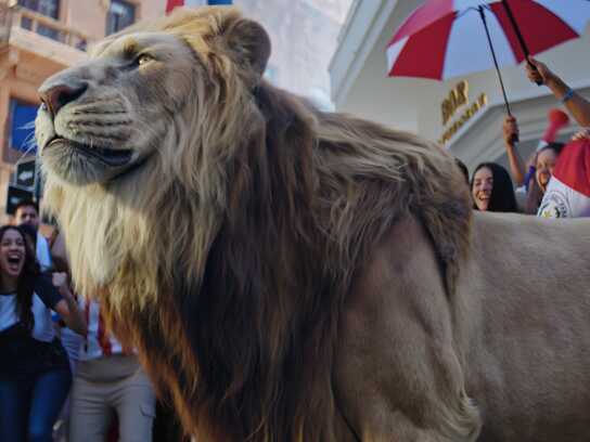 The guaraní fighting has returned 
