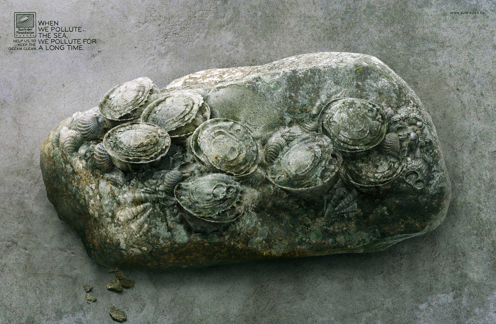 Surfrider Foundation Fossil Bottle Fossil Tins Fossil Bag Ads of the World Part of The Clio Network