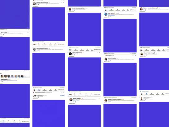 The Purple Feed