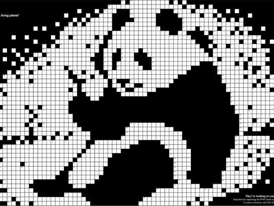 Crossword, Panda, Crossword, Polar bear, Crossword, Whale