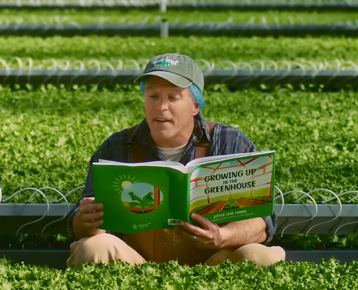 Most Loved Lettuce Image