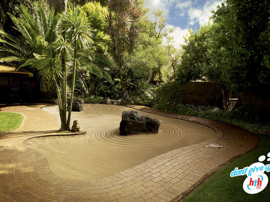 Zen Garden, Trampoline