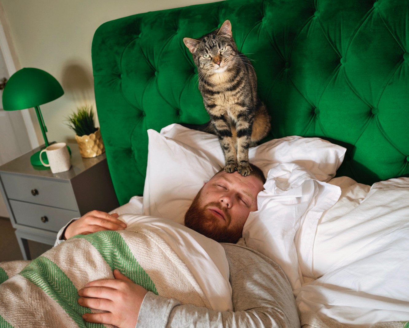 Celebrating Pet People Image