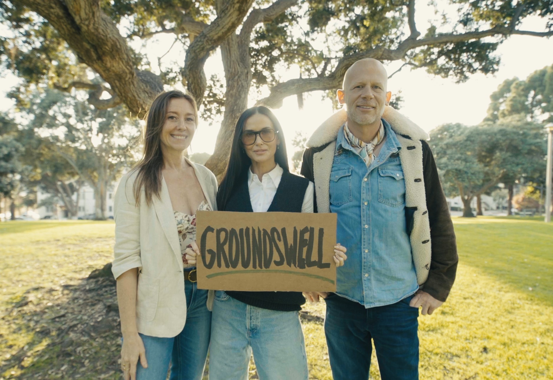 Groundswell Image