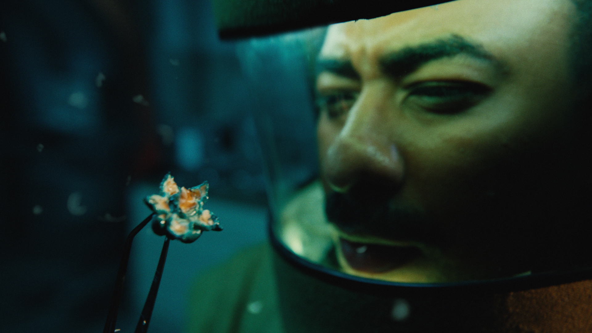 Stranger Things Mystery Popcorn Image