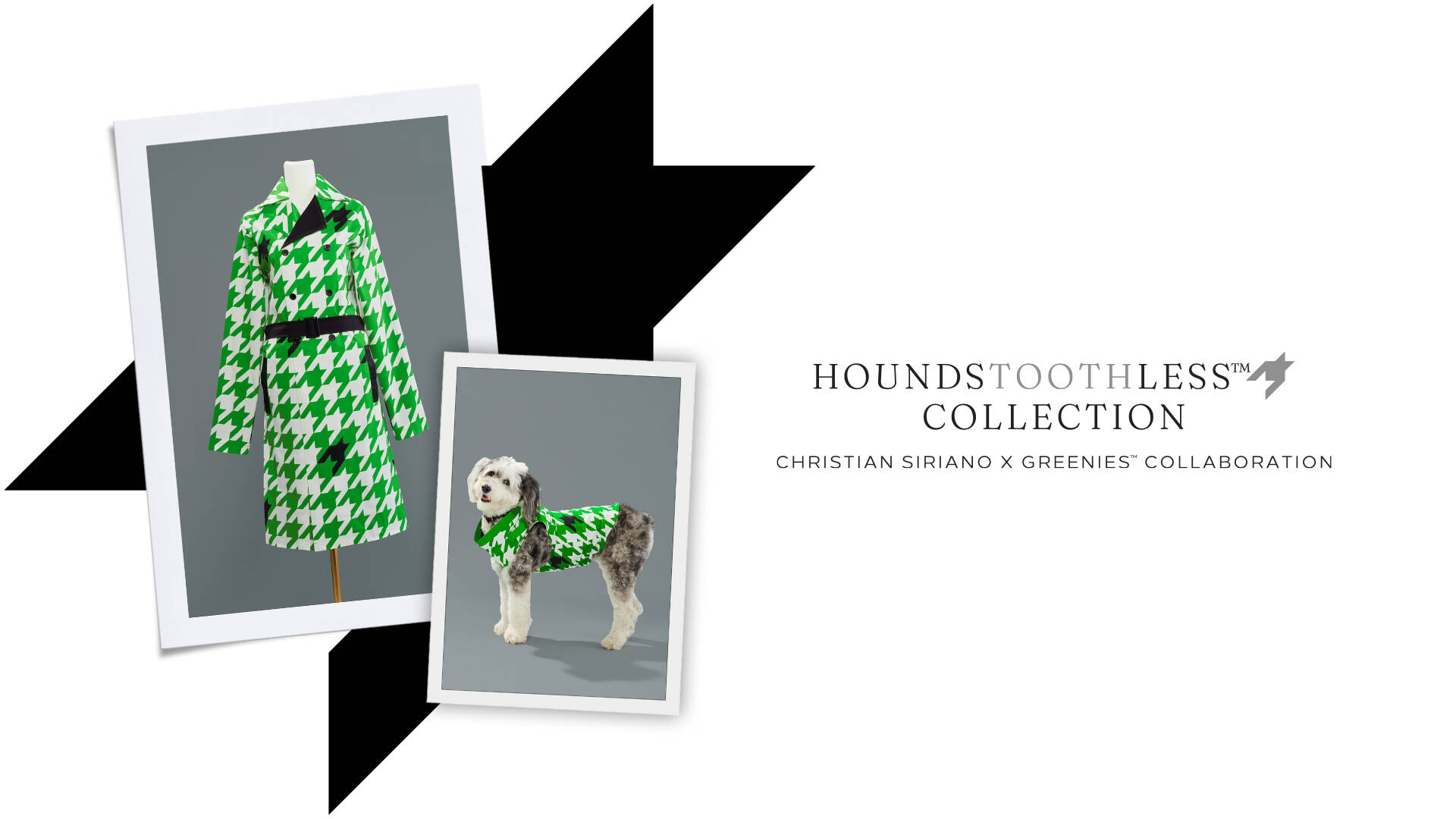 HOUNDSTOOTH - ICONIC AND TIMELESS - Nosetta