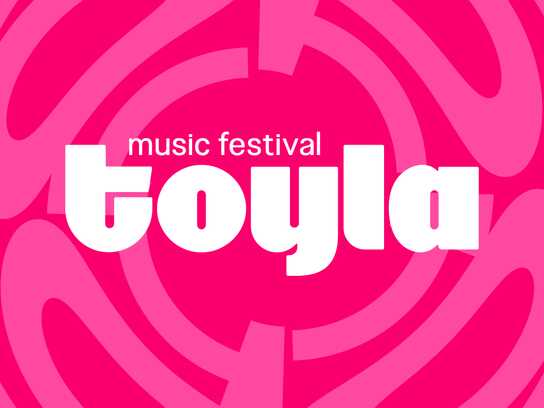 Toyla Music Festival — Pattern of Modern Celebration