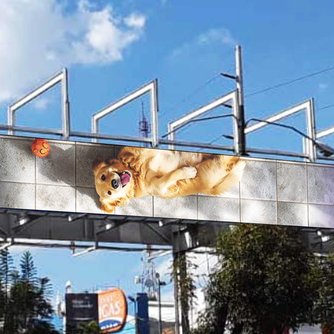 The Silent Witness Image