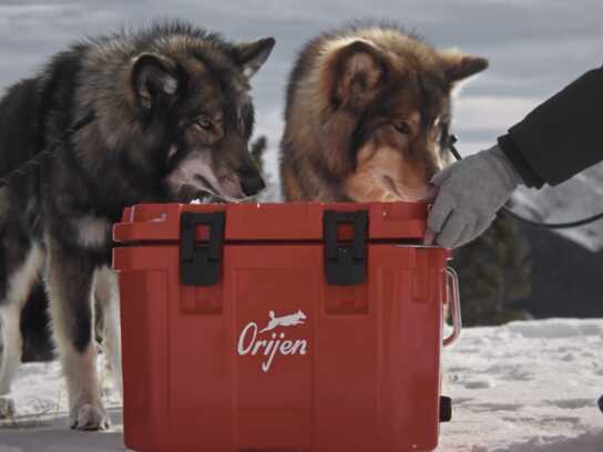 The World’s Most Extreme Unboxing