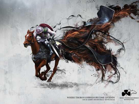 Thoroughbred