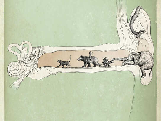 The Jungle Book, The Wizard Of Oz, The Pied Piper Of Hamelin