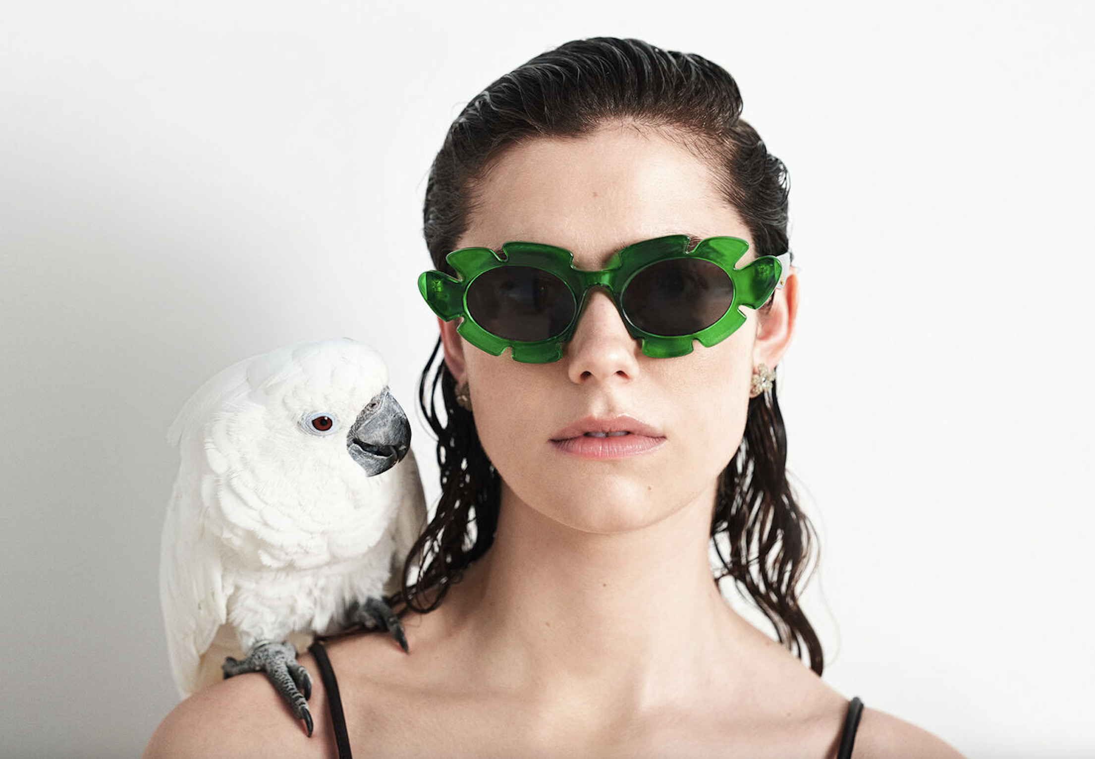 Paula's Ibiza 2024 Image