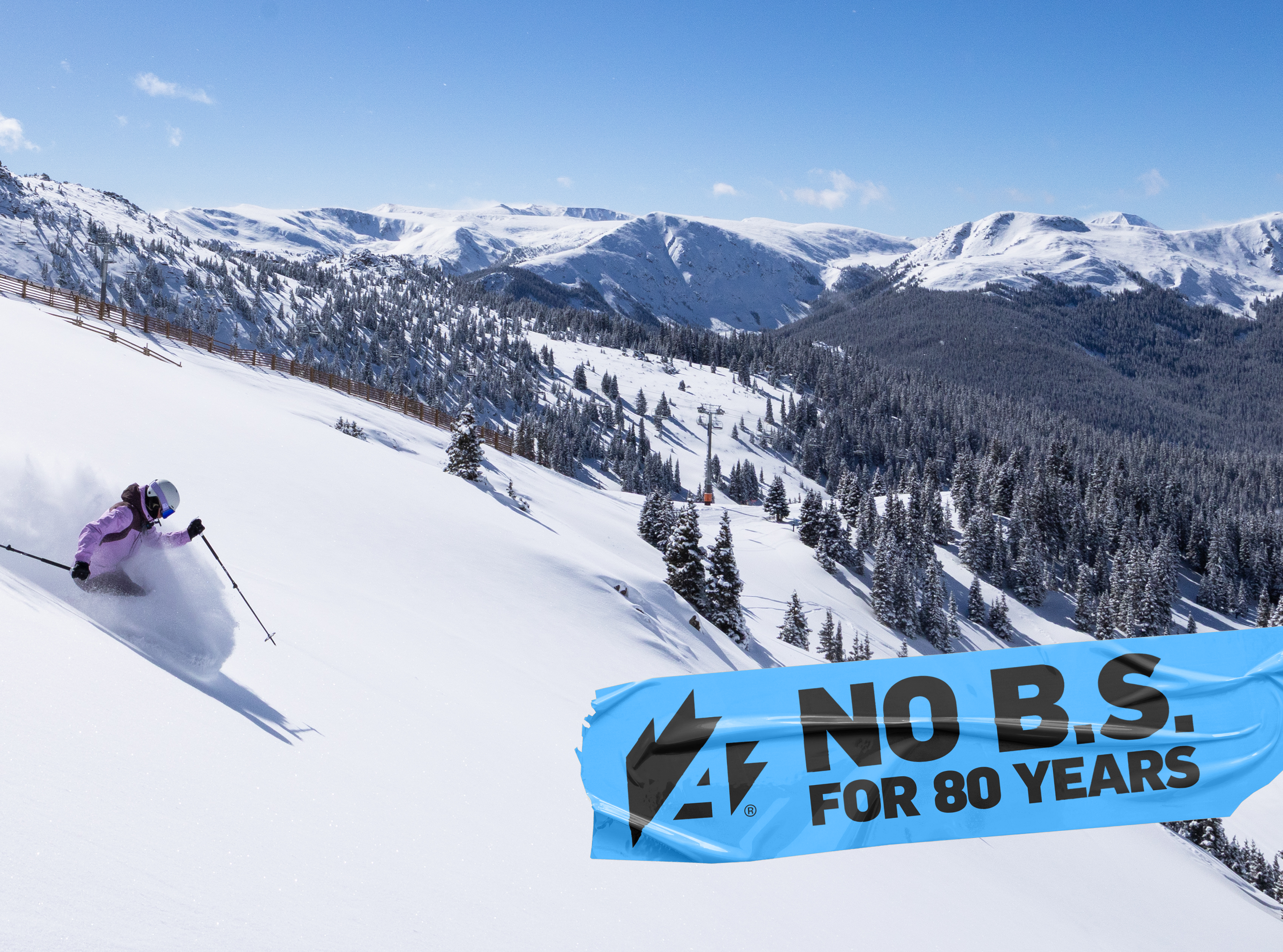 No B.S. Just Skiing Image