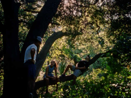 Ode to Nature