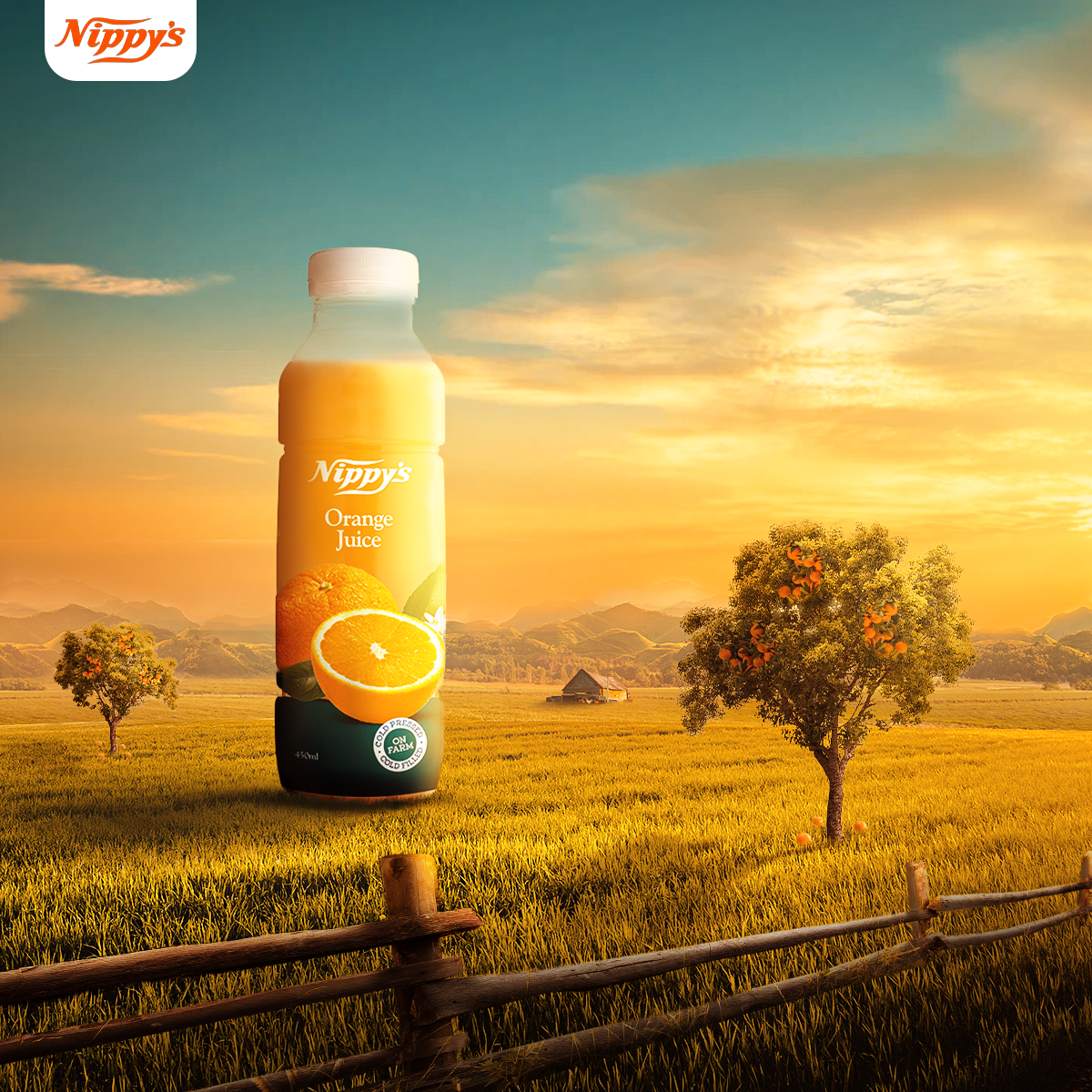 Nippys orange juice hotsell
