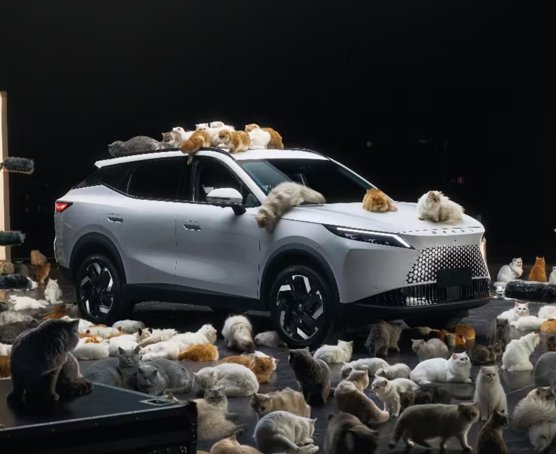 Everything is Essential Image