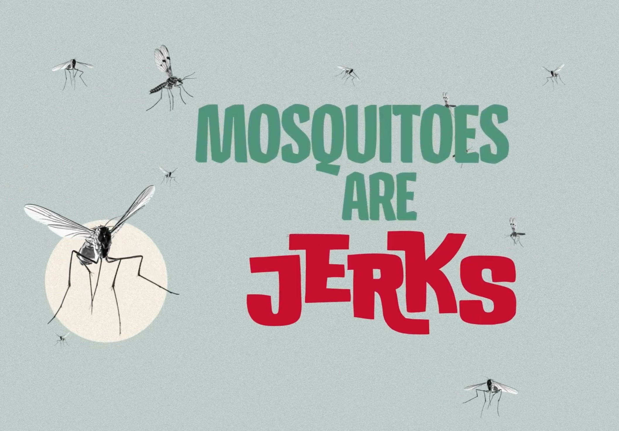 Mosquitos Are Jerks Image