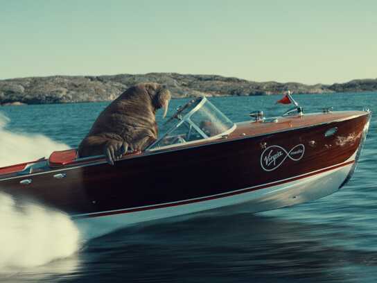 Walrus Whizzer