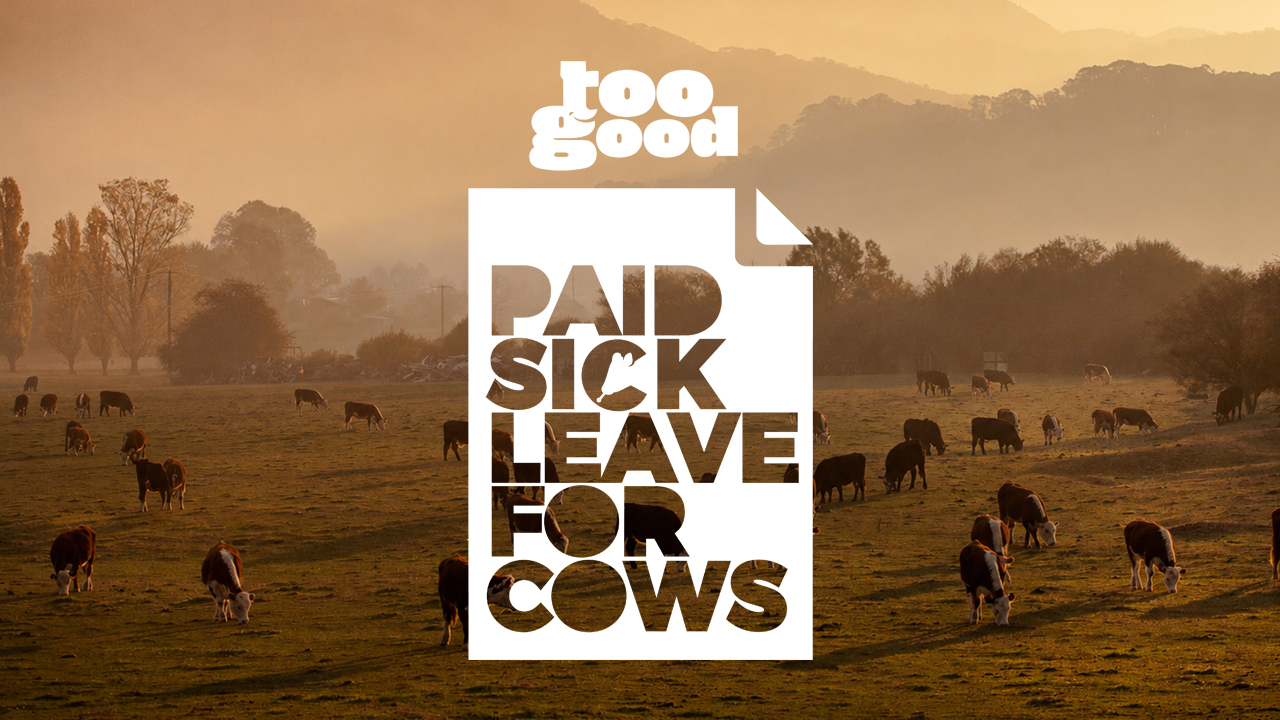 Paid Sick Leave For Cows (case study) Image