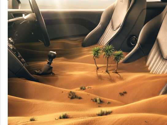 Desert