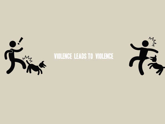 Violence leads to violence