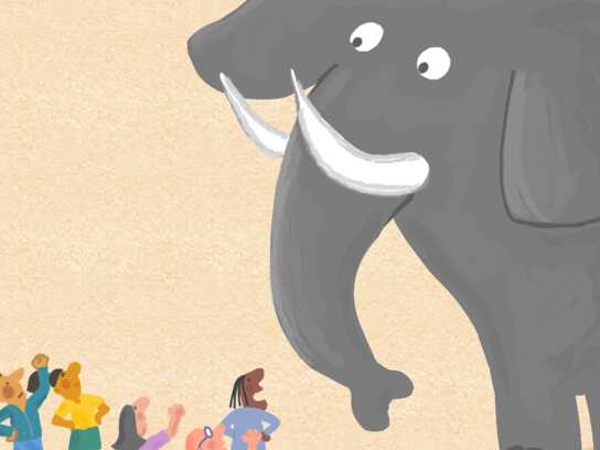 Elephant in the Room