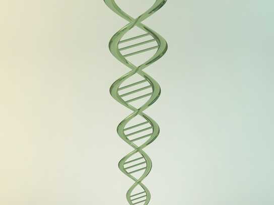 DNA