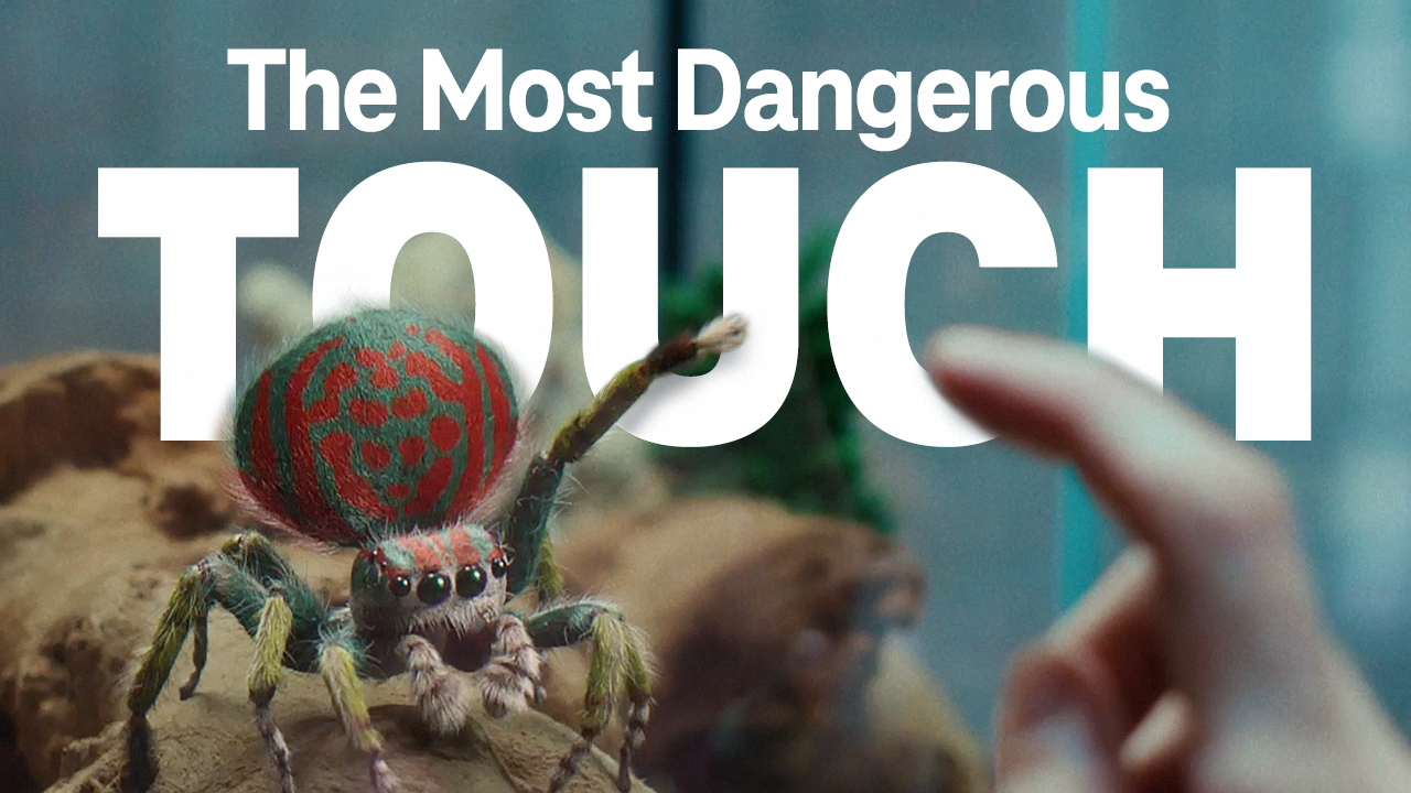 The Most Dangerous Touch Image