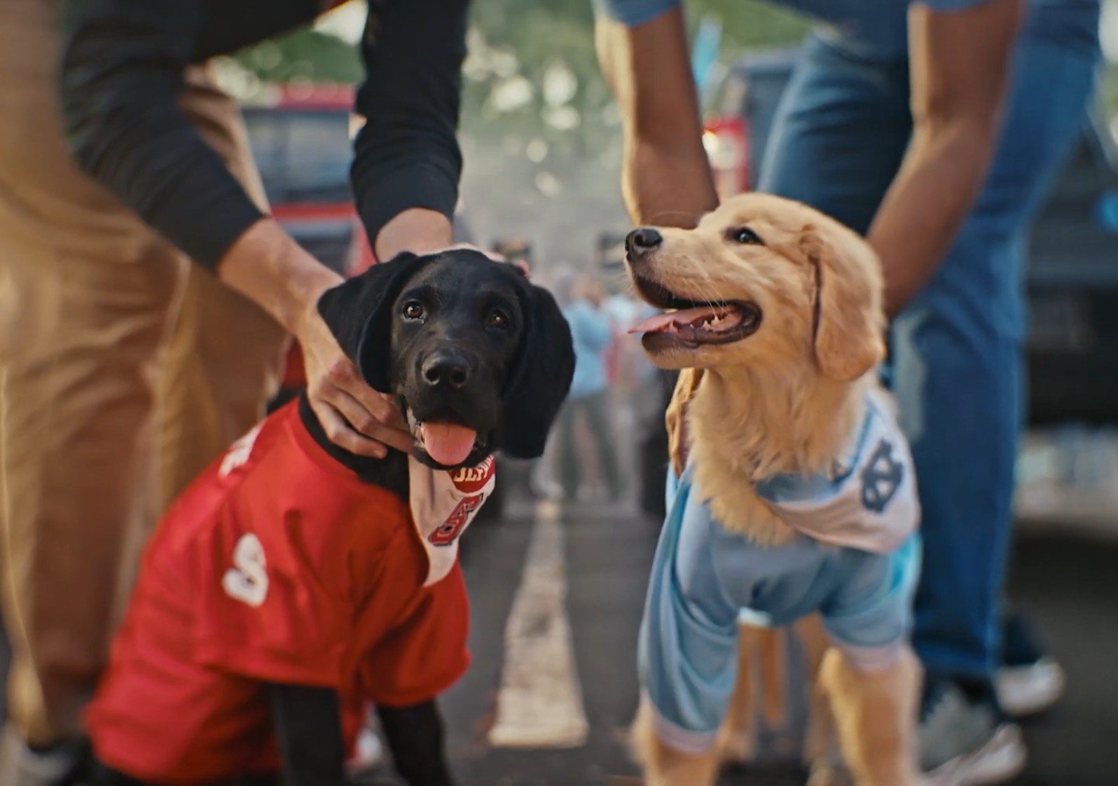Fan's Best Friend Image