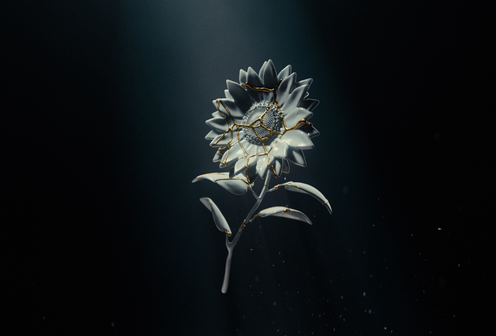 Beauty of Broken Image