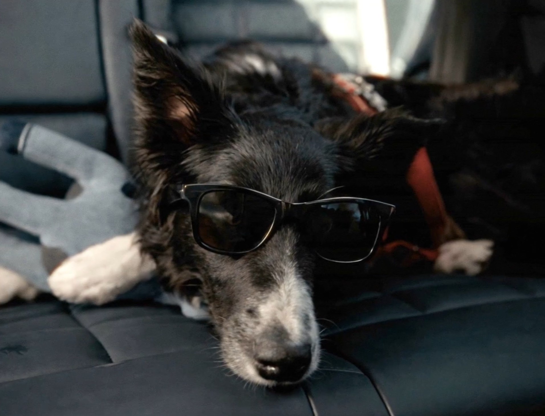 The Calm Diffuser Image