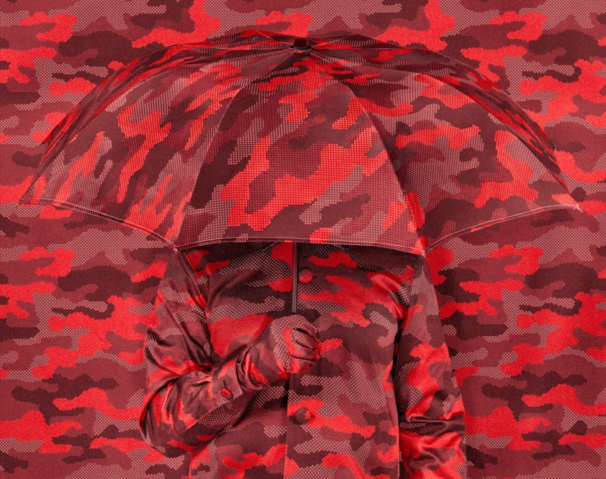 Camouflage: Designed to Deceive Image