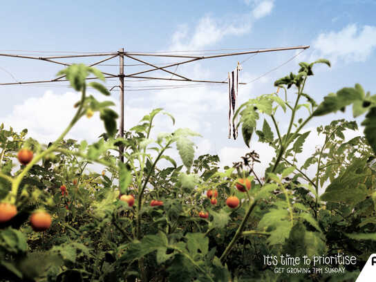 Washing line, Puppy, Swing ball