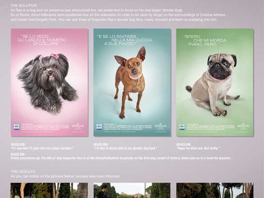 Dog billboards