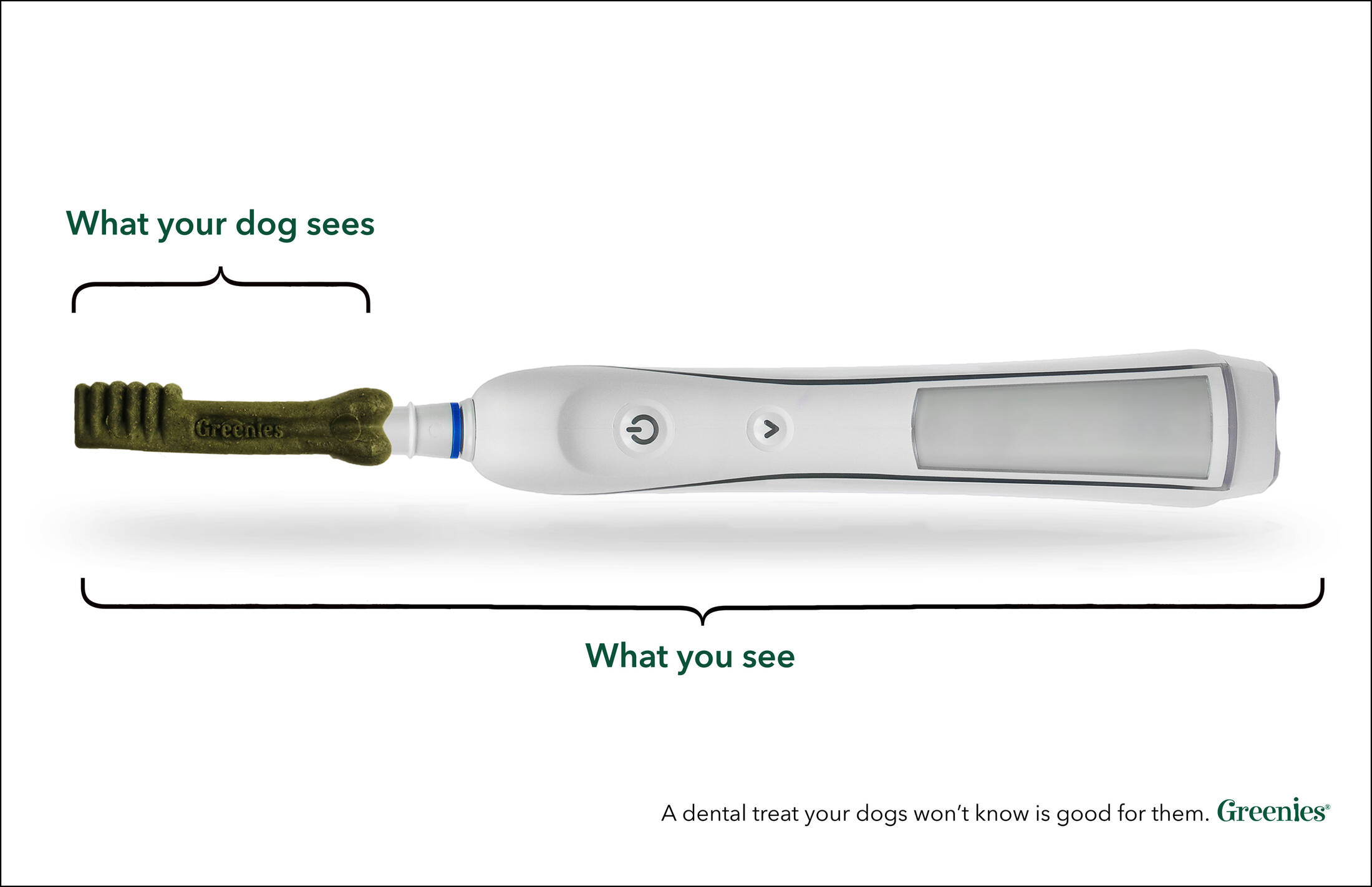 Greenies toothbrush hot sale