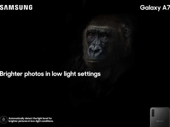 Galaxy A7 Feature - Gorilla, Cat, Dog