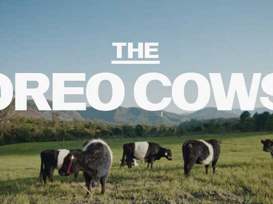 The OREO Cows